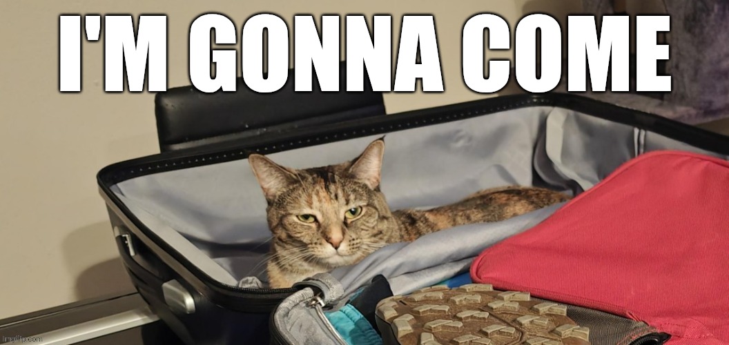 I'm gonna come | made w/ Imgflip meme maker