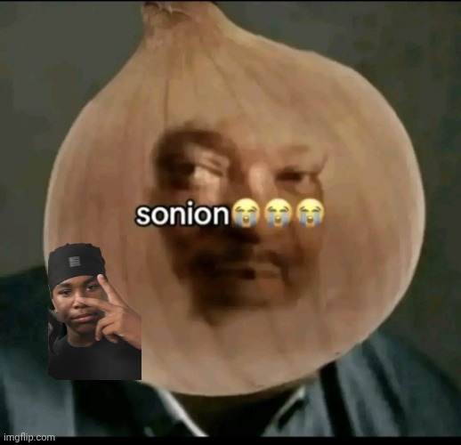 sonion | image tagged in sonion | made w/ Imgflip meme maker