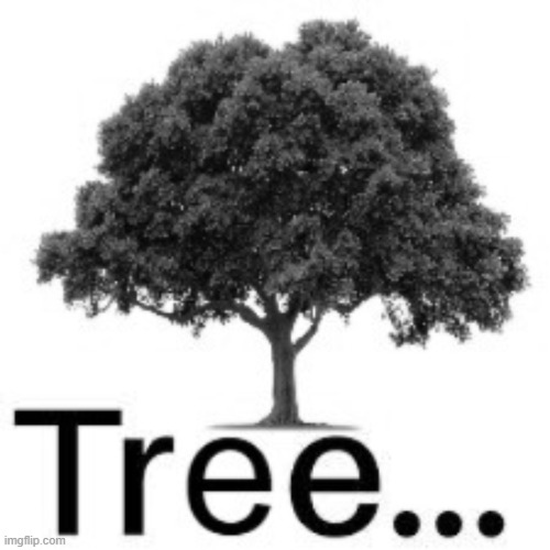 tree... | image tagged in tree | made w/ Imgflip meme maker
