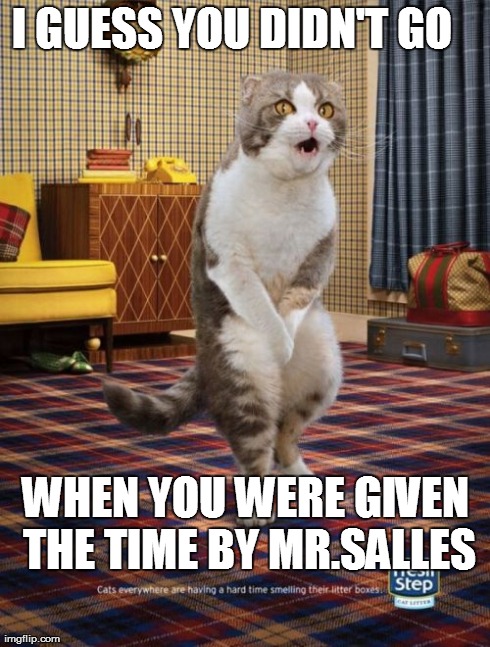 Gotta Go Cat | I GUESS YOU DIDN'T GO    WHEN YOU WERE GIVEN THE TIME BY MR.SALLES | image tagged in memes,gotta go cat | made w/ Imgflip meme maker