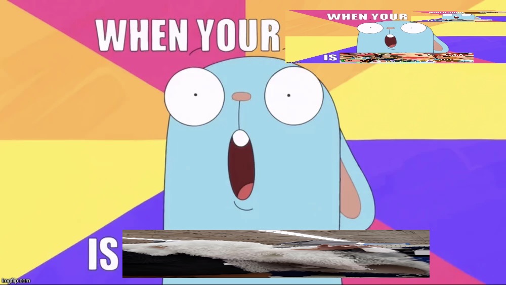 Looks like we have another memeceptionist in the wild. | image tagged in when your x is y,chewbacca,goofy ahh,memeception,random tag | made w/ Imgflip meme maker