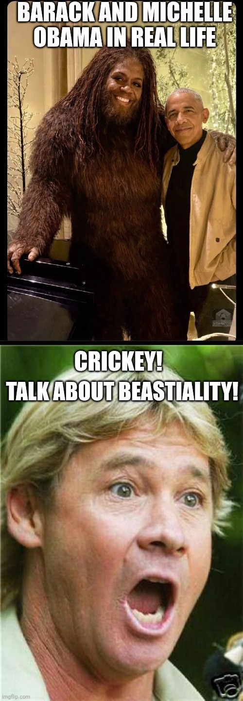 Barack and Michelle Obama in real life; Crickey! Talk about beastiality! | image tagged in big mike sasquatch dingle barry,steve irwin shocked | made w/ Imgflip meme maker