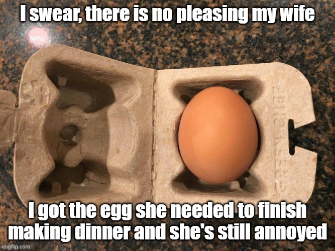 Carton Of Egg | I swear, there is no pleasing my wife; I got the egg she needed to finish making dinner and she's still annoyed | image tagged in egg,package,convenience,waste | made w/ Imgflip meme maker