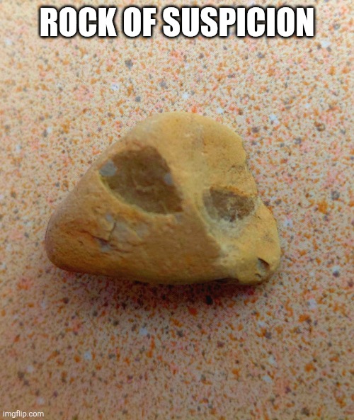 Rock of Suspicion | Rock of suspicion | image tagged in rock of suspicion | made w/ Imgflip meme maker