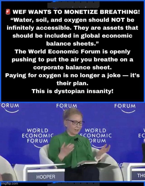 WEF wants to charge you for air | image tagged in img 44 jpeg,wef,satanic,charge forvair | made w/ Imgflip meme maker