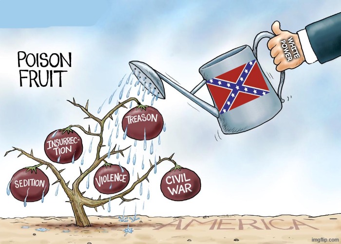 Neo confederate is unamerican. Poison fruit | white power | image tagged in cartoon,confederate,confederacy,white supremacy | made w/ Imgflip meme maker