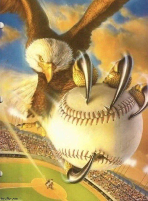 Eagle Catching Ball | image tagged in eagle catching ball | made w/ Imgflip meme maker