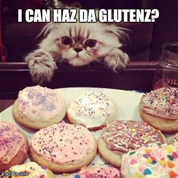 Da Glutenz Cat | I CAN HAZ DA GLUTENZ? | image tagged in cookie cat,gluten,cats | made w/ Imgflip meme maker