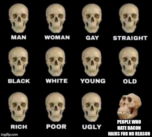 that's basically just racism on roblox | People who hate bacon hairs for no reason | image tagged in idiot skull,roblox,roblox meme,bacon | made w/ Imgflip meme maker