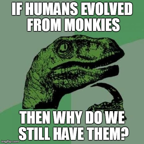 Philosoraptor Meme | IF HUMANS EVOLVED FROM MONKIES THEN WHY DO WE STILL HAVE THEM? | image tagged in memes,philosoraptor | made w/ Imgflip meme maker