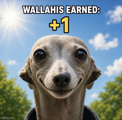 Wallahis earned +1 | image tagged in wallahis earned 1 | made w/ Imgflip meme maker