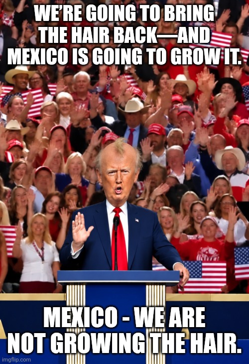 President Blowhard | We’re going to bring the hair back—and Mexico is going to grow it. Mexico - We are not growing the hair. | image tagged in mexico wall,donald trump,baldness,crazy,bad hair day,maga | made w/ Imgflip meme maker