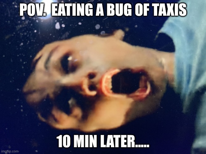 me every month | POV.  eating a bug of Taxis; 10 min later..... | image tagged in stranger things will scream | made w/ Imgflip meme maker