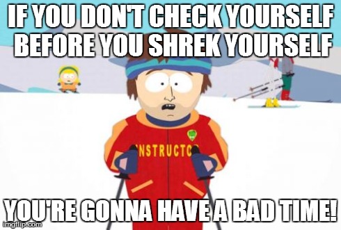 Super Cool Ski Instructor Meme | IF YOU DON'T CHECK YOURSELF BEFORE YOU SHREK YOURSELF YOU'RE GONNA HAVE A BAD TIME! | image tagged in memes,super cool ski instructor | made w/ Imgflip meme maker