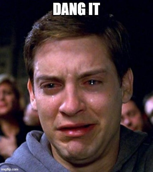 crying peter parker | dang it | image tagged in crying peter parker | made w/ Imgflip meme maker