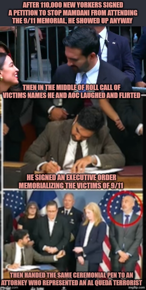 Like a stray dog shitting on the carpet | image tagged in comrade zohran is like a stray dog sitting on the carpet,stray dog,shits on carpet | made w/ Imgflip meme maker