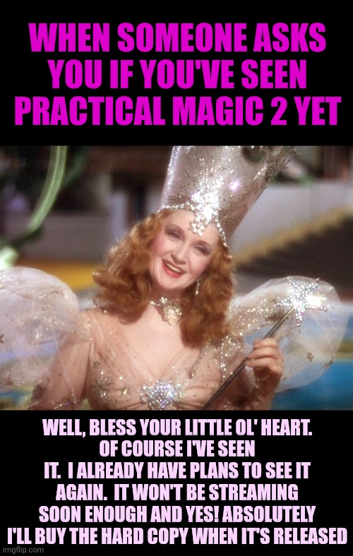 I'll Get You My Pretty! | When someone asks you if you've seen Practical Magic 2 yet; Well, bless your little ol' heart.
Of course I've seen it.  I already have plans to see it again.  It won't be streaming soon enough and YES! ABSOLUTELY I'll buy the hard copy when it's released | image tagged in glinda good witch wizard of oz,practical magic,practical magic two,memes,sisters,matriarchy | made w/ Imgflip meme maker