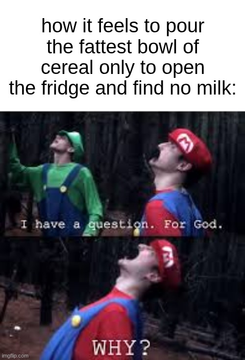 Mario Why God | how it feels to pour the fattest bowl of cereal only to open the fridge and find no milk: | image tagged in mario why god | made w/ Imgflip meme maker