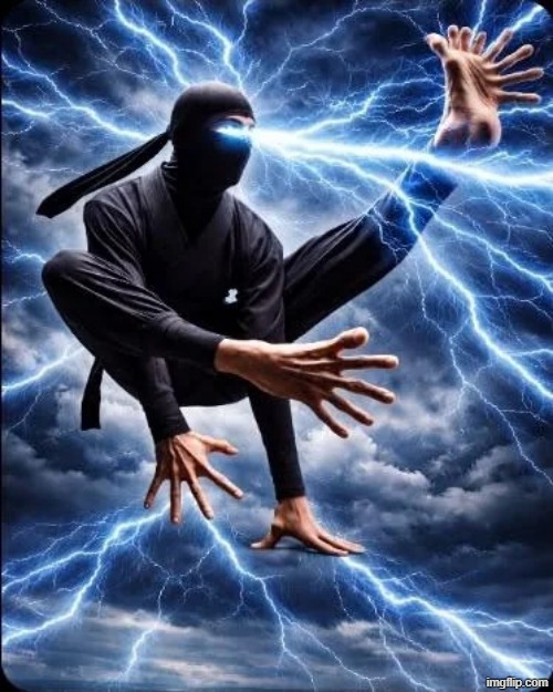 ninga | image tagged in ninga | made w/ Imgflip meme maker