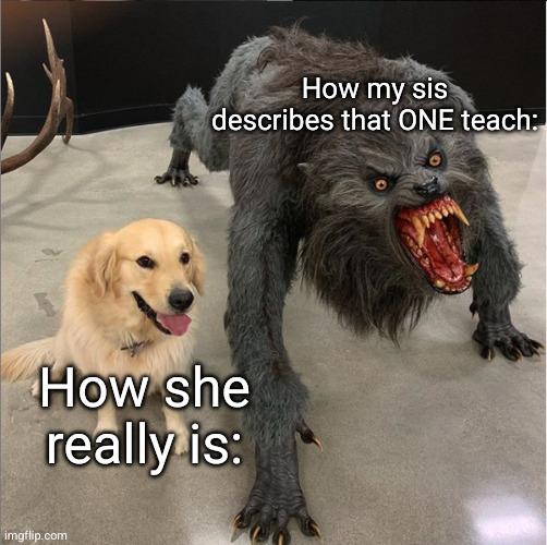 First Meme on my 1st day on 8th grade | How my sis describes that ONE teach:; How she really is: | image tagged in dog vs werewolf | made w/ Imgflip meme maker