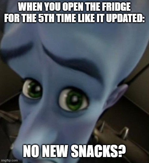 :( | WHEN YOU OPEN THE FRIDGE FOR THE 5TH TIME LIKE IT UPDATED:; NO NEW SNACKS? | image tagged in megamind no bitches | made w/ Imgflip meme maker