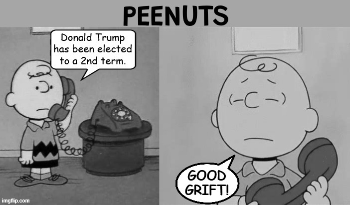 Peenuts | image tagged in peenuts,charlie brown,good grief,trump elected,2nd term,grift | made w/ Imgflip meme maker