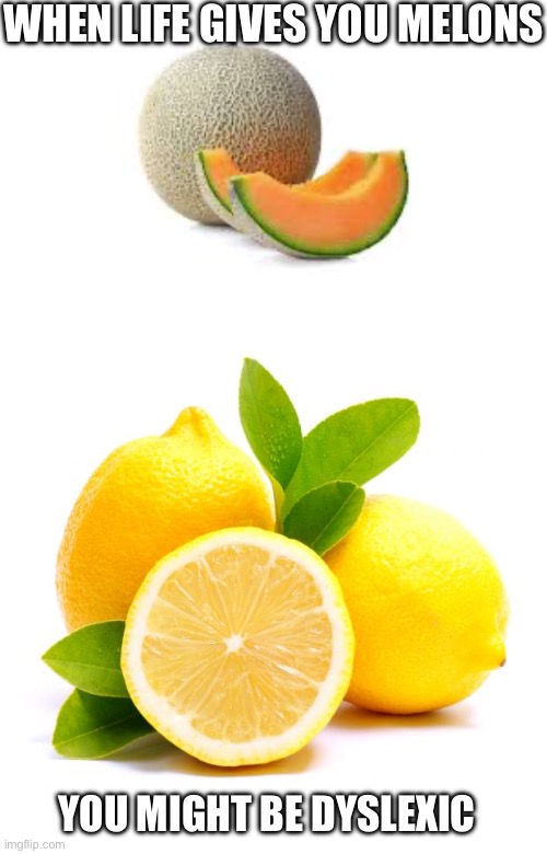 Lemons Melons | When life gives you melons; You might be dyslexic | image tagged in yahiamice cantaloupe,when lif gives you lemons,lemons,melons,dyslexic | made w/ Imgflip meme maker