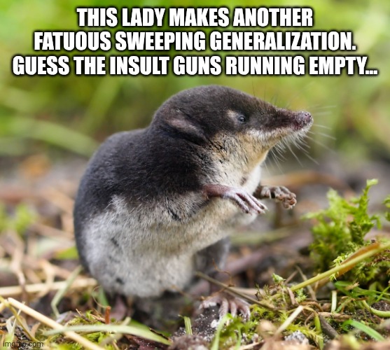 This lady makes another fatuous sweeping generalization. Guess the insult guns running empty... | image tagged in clever shrew | made w/ Imgflip meme maker