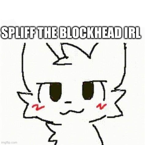 Spliff sucks | Spliff the Blockhead Irl | image tagged in boykisser,imgflip users,anti aicp | made w/ Imgflip meme maker