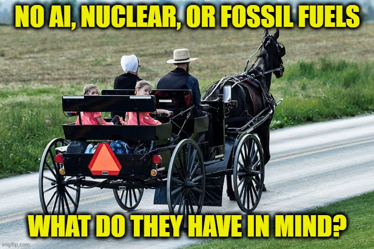 The Left is afraid of the future | No AI, Nuclear, or fossil fuels; What do they have in mind? | image tagged in leftists | made w/ Imgflip meme maker