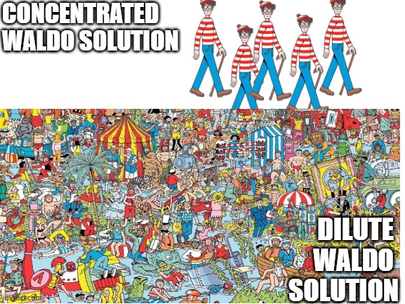 Waldo Dilution | Concentrated 
Waldo Solution; Dilute 
Waldo 
Solution | image tagged in blank white template,gen chem,dilution,solution | made w/ Imgflip meme maker