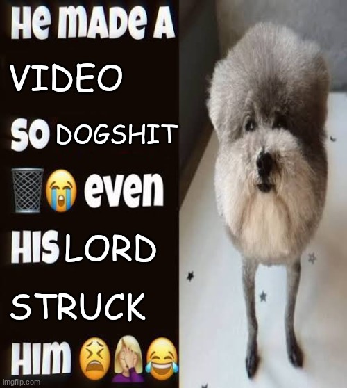 He made a statement so trash | video; dogshit; lord; struck | image tagged in he made a statement so trash | made w/ Imgflip meme maker