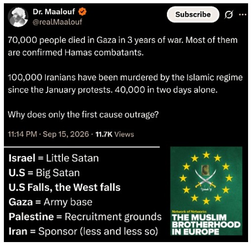 What I've gathered from the activists so far. And the Liberal globalists' deep support tells the rest of the story | image tagged in palestine,gaza,politics,islam | made w/ Imgflip meme maker