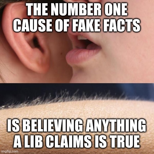 Whisper and Goosebumps | The number one cause of fake facts; Is believing anything a lib claims is true | image tagged in whisper and goosebumps | made w/ Imgflip meme maker