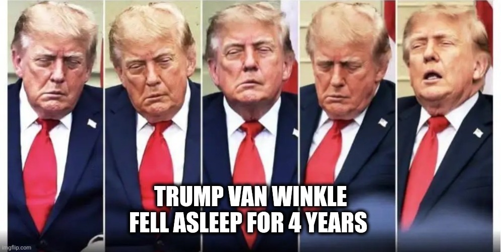 Dozy Donny | Trump van winkle
Fell asleep for 4 years | image tagged in maga,funny memes | made w/ Imgflip meme maker