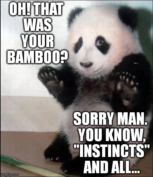 opinion bear | OH! THAT WAS YOUR BAMBOO? SORRY MAN. YOU KNOW, "INSTINCTS" AND ALL... | image tagged in opinion bear | made w/ Imgflip meme maker