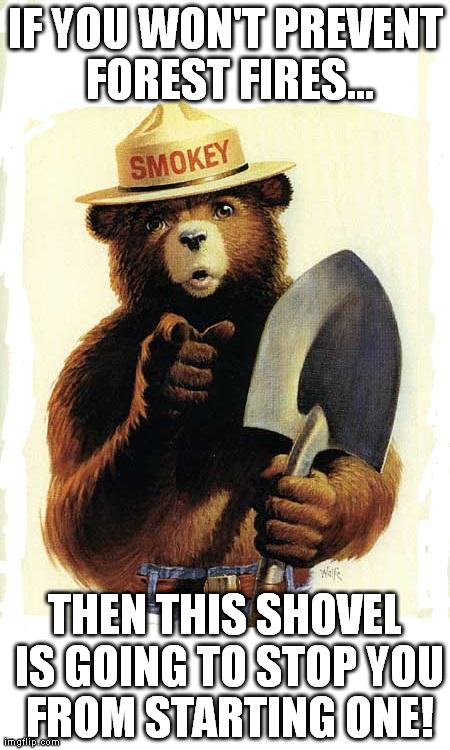 Smokey The Bear | IF YOU WON'T PREVENT FOREST FIRES... THEN THIS SHOVEL IS GOING TO STOP YOU FROM STARTING ONE! | image tagged in smokey the bear | made w/ Imgflip meme maker