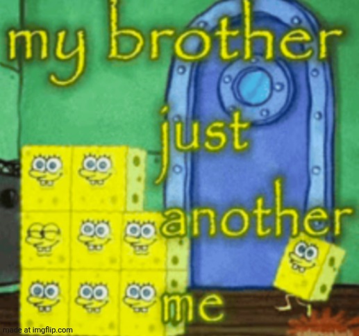 image tagged in my brother just another me | made w/ Imgflip meme maker