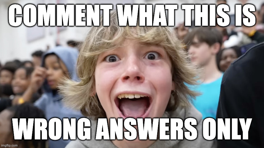 idk | comment what this is; wrong answers only | image tagged in idk,memes,funny | made w/ Imgflip meme maker