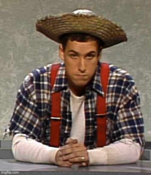 ☄️ | image tagged in adam sandler cajun man,adam sandler,funny memes,memes,imgflip points,shitpost | made w/ Imgflip meme maker