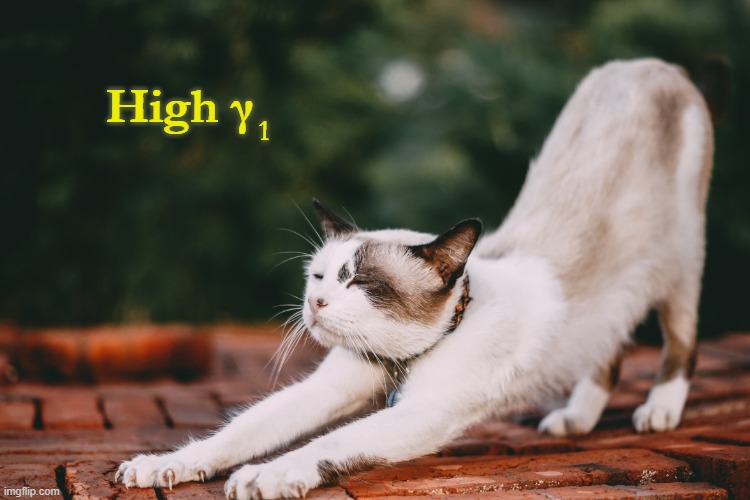 High Skewness Cat | High γ; 1 | image tagged in white cat stretching,skewness,statistics,math humor,stats humor,distributions | made w/ Imgflip meme maker