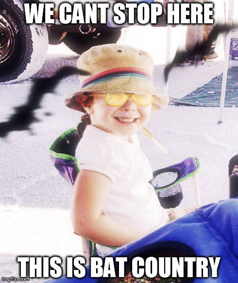 WE CANT STOP HERE THIS IS BAT COUNTRY | made w/ Imgflip meme maker