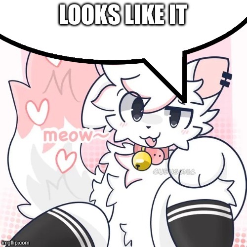 femboy boykisser speech bubble | Looks like it | image tagged in femboy boykisser speech bubble | made w/ Imgflip meme maker