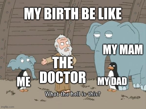 me | MY BIRTH BE LIKE; MY MAM; THE DOCTOR; MY DAD; ME | image tagged in what the hell is this | made w/ Imgflip meme maker
