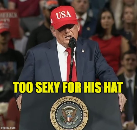 Too sexy for his hat | image tagged in capture jpg | made w/ Imgflip meme maker