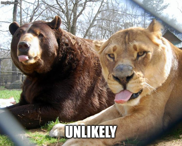 unlikely friends | Unlikely | image tagged in unlikely friends | made w/ Imgflip meme maker