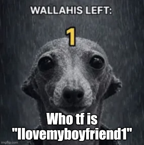 Why are they talking about sisters and twin sisters and shit | Who tf is "Ilovemyboyfriend1" | image tagged in one wallahi left | made w/ Imgflip meme maker