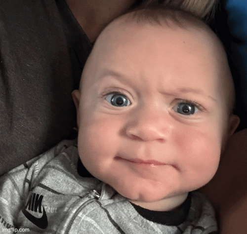 This is what I think about this F*****g Damn Day! | image tagged in gifs,annoyed | made w/ Imgflip images-to-gif maker