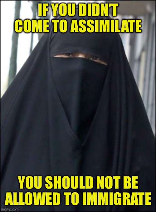 Your medieval values are not compatible with western society | If you didn’t come to assimilate; You should not be allowed to immigrate | image tagged in burka wearing muslim women,stay home,sharia is not compatible,stop islamic immigration | made w/ Imgflip meme maker