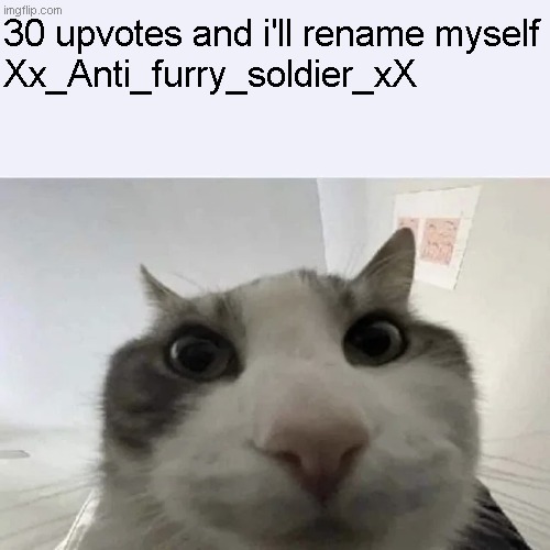 green text cat | 30 upvotes and i'll rename myself
Xx_Anti_furry_soldier_xX | image tagged in green text cat | made w/ Imgflip meme maker